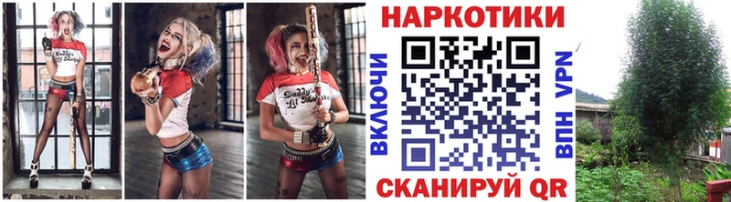 Что такое Кириши КОКАИН  АМФЕТАМИН  ссылка на мегу ТОР  Конопля  Псилоцибиновые грибы  Меф мяу мяу  APVP 
