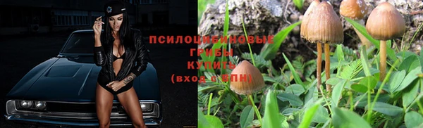 метадон Аркадак