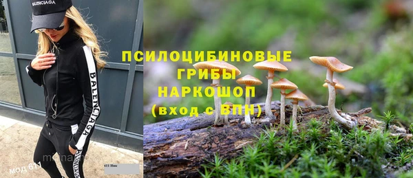 метадон Аркадак