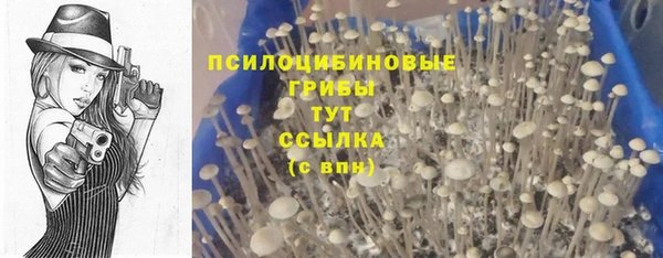 скорость Арсеньев