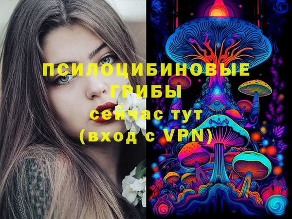 дмт Армянск