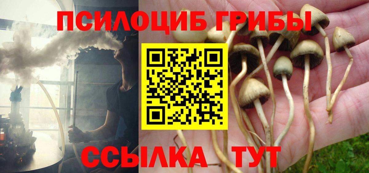 Псилоцибиновые грибы Magic Shrooms  Вход с VPN  Кириши 